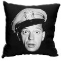 Barney Face Throw Pillow